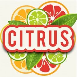 Citrus E-liquid